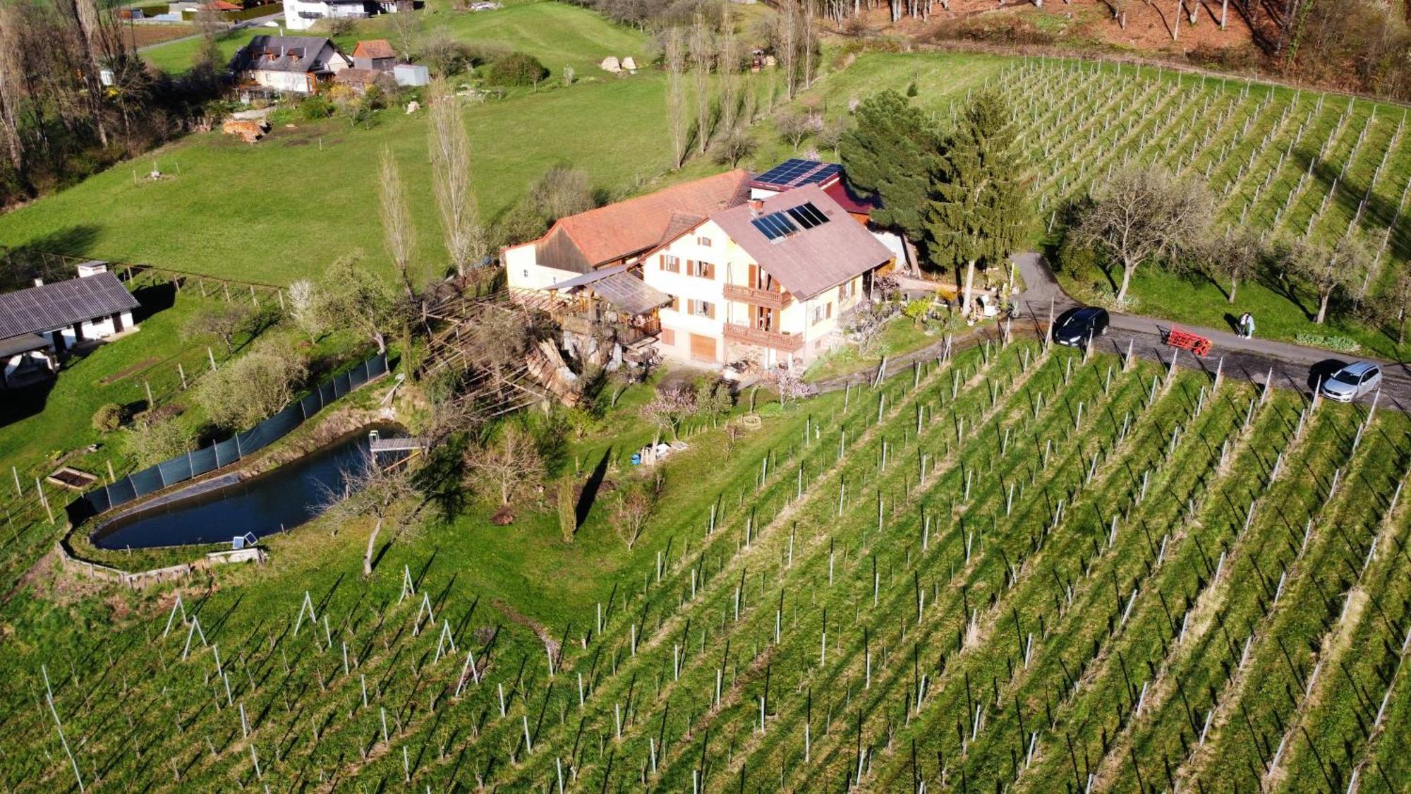 Appartement Weingut Schoberhof Bad Gleichenberg Luaran gambar