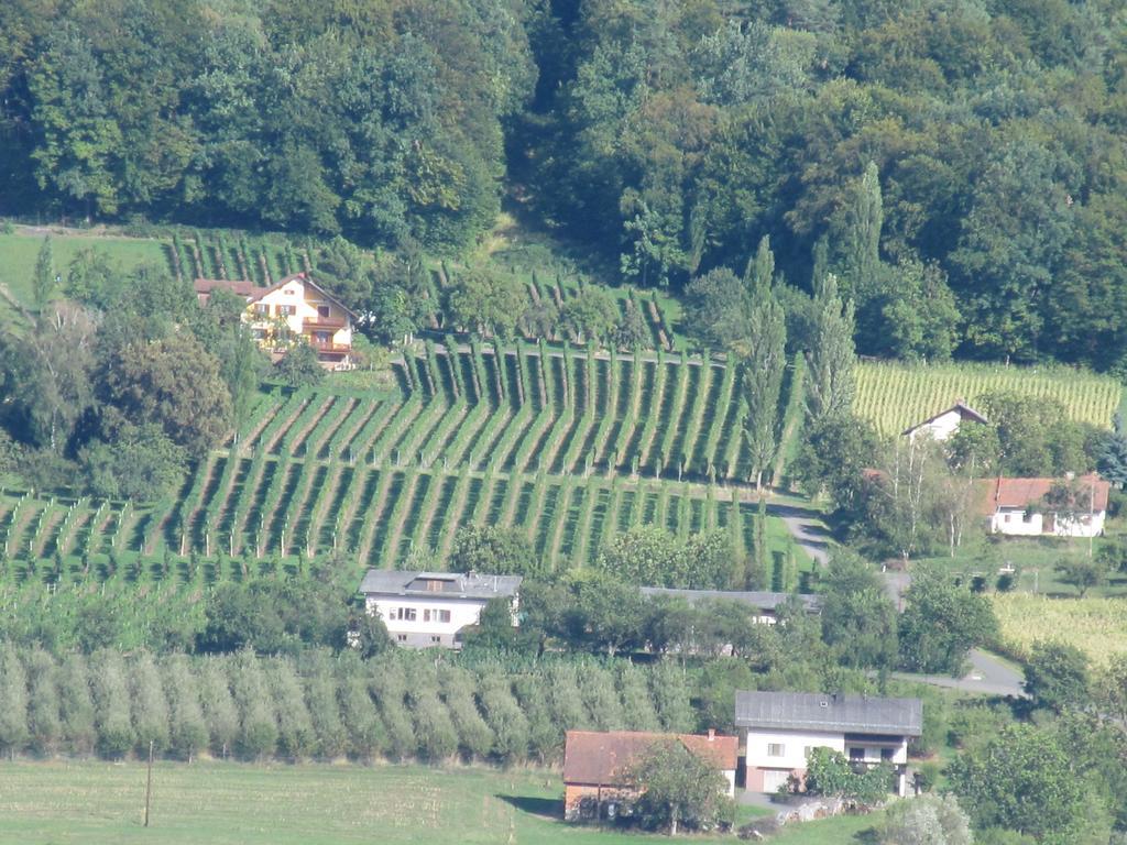 Appartement Weingut Schoberhof Bad Gleichenberg Bilik gambar