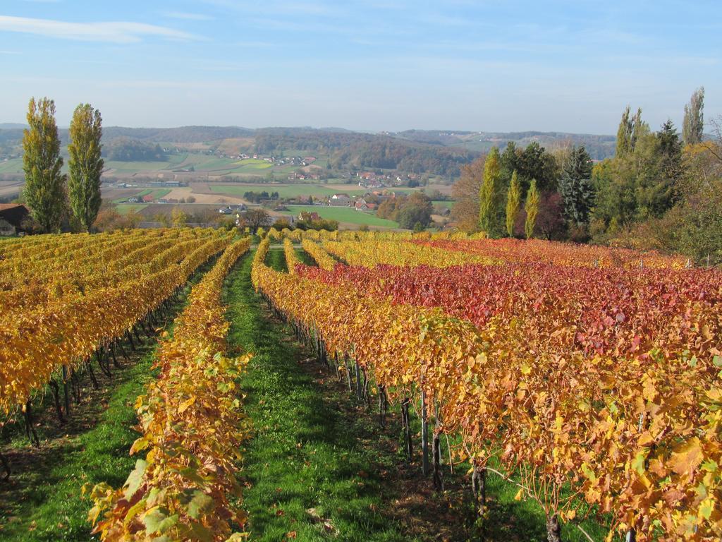 Appartement Weingut Schoberhof Bad Gleichenberg Bilik gambar