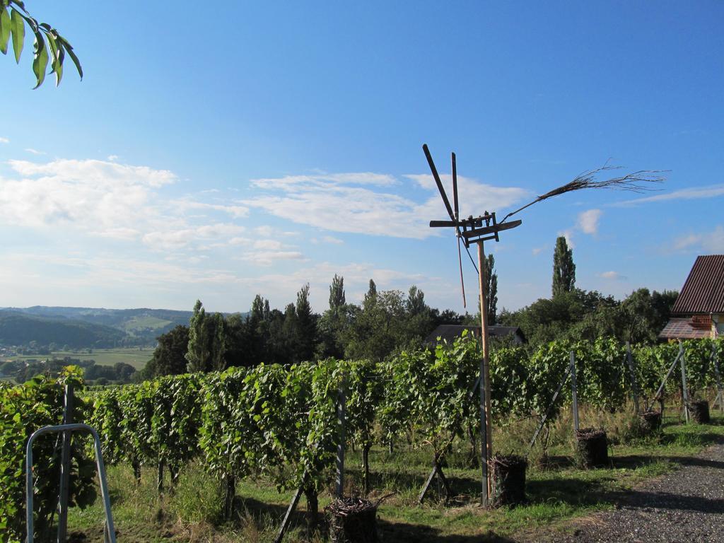 Appartement Weingut Schoberhof Bad Gleichenberg Luaran gambar
